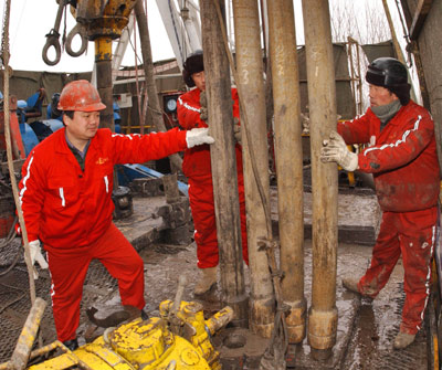 The central government is working on a long-term plan to increase the use of alternative fuels to reduce the dependence on oil.