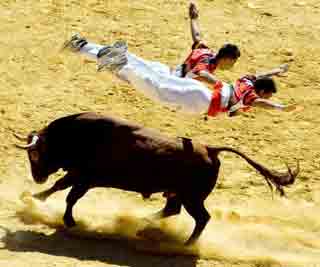 Spain's amazing bull leapers<BR>藝術(shù)家'飛牛'照曝光