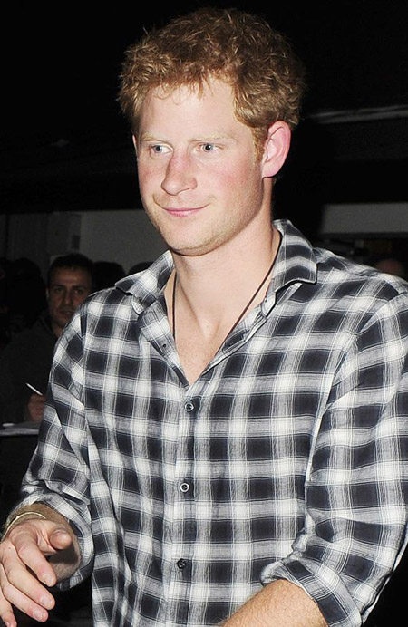 Prince Harry wants to be reggae DJ