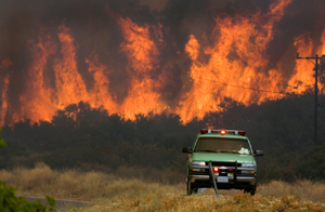 歐美百人死于高溫 用電緊張數(shù)千牛羊喪命
