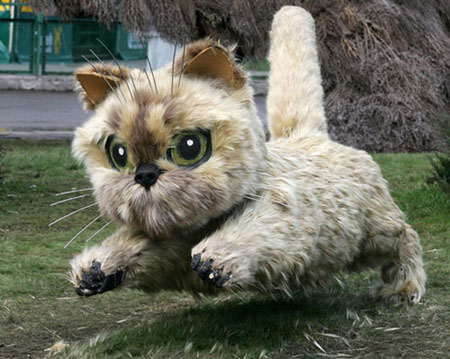 “草包”動物展奪人眼球