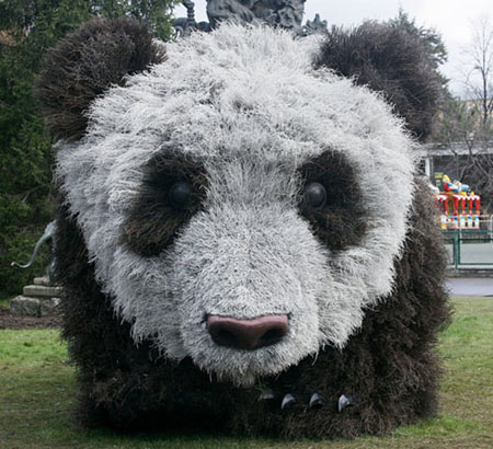 “草包”動物展奪人眼球