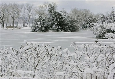 民生百態(tài)：美國中西部暴風雪下的快樂與痛苦