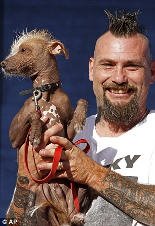 “世界最丑狗”出爐 近親繁殖險遭人道毀滅