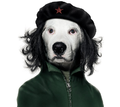 動物扮名士 美搞怪掛歷雷翻人