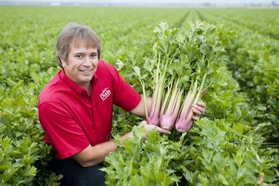 歷經(jīng)20年培植紅色芹菜將在美上市 口感味道不變