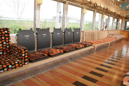 日本花貓站長“阿玉”就任6周年升遷“代理社長”