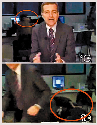 后臺工作人員大打出手 主持人驚慌逃離直播間