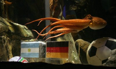 神奇章魚預(yù)測世界杯德國將戰(zhàn)勝阿根廷