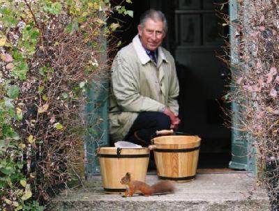 查爾斯拍環(huán)保片《和諧》 稱上帝派他來“拯救地球”