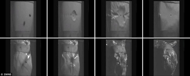 英發(fā)明輕便高效“液體防彈衣” 有望2年內(nèi)裝備部隊(duì)關(guān)鍵詞