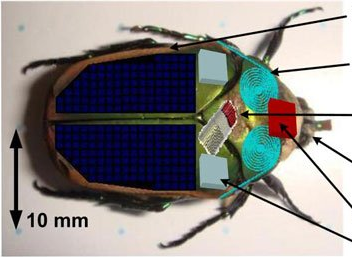 可變形氣動軟體機器人問世 微型電子蟲或成救援先鋒
