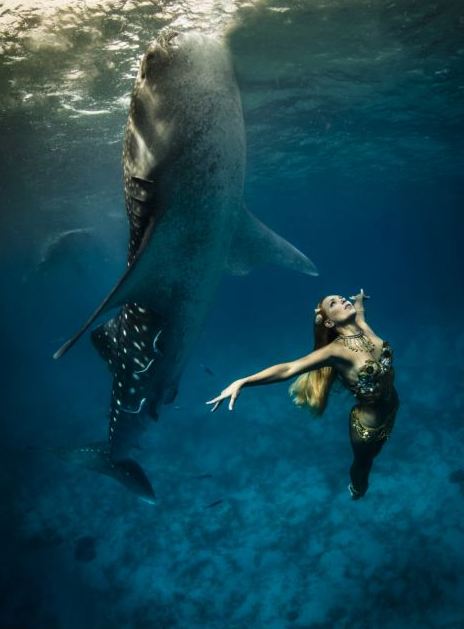 海底視覺盛宴:超模與鯊魚驚艷共舞