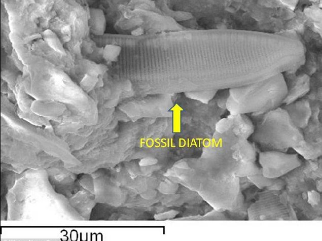 英學(xué)者隕石中找到外星化石 欲證實人類源自外太空