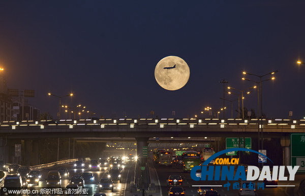 純美“月宮”大賞