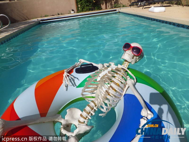 人體骨架一年內(nèi)周游世界 體驗做人的感覺