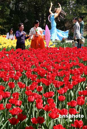 長假之癢:黃金周該不該廢除