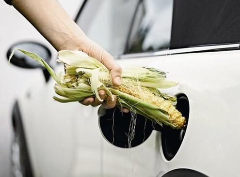 睿信致成觀察:我國(guó)生物燃料發(fā)展有待突破