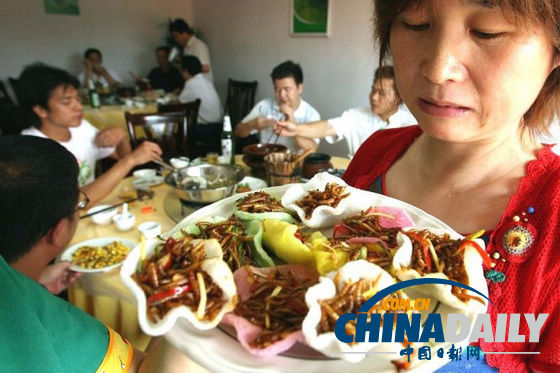 世界各地超級恐怖的蟲子大餐(組圖)