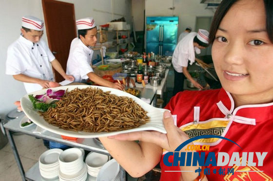 世界各地超級(jí)恐怖的蟲子大餐(組圖)