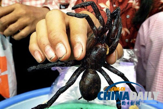 世界各地超級(jí)恐怖的蟲(chóng)子大餐(組圖)