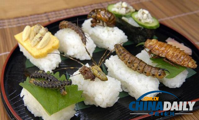 世界各地超級(jí)恐怖的蟲子大餐（組圖）