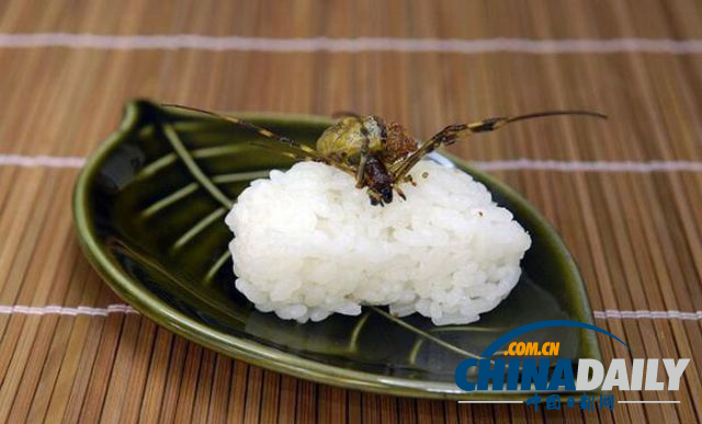 世界各地超級(jí)恐怖的蟲(chóng)子大餐（組圖）