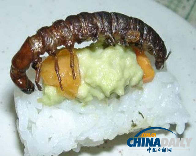世界各地超級(jí)恐怖的蟲子大餐（組圖）