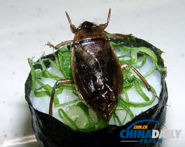 世界各地超級恐怖的蟲子大餐（組圖）