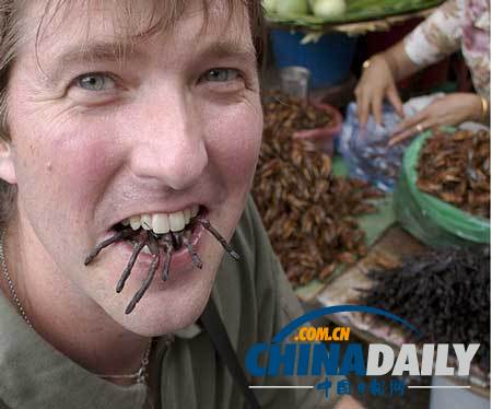 世界各地超級恐怖的蟲子大餐(組圖)