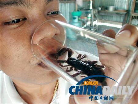 世界各地超級恐怖的蟲子大餐(組圖)