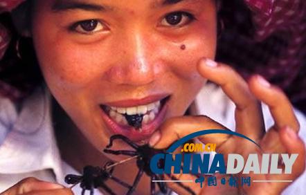 世界各地超級恐怖的蟲子大餐(組圖)