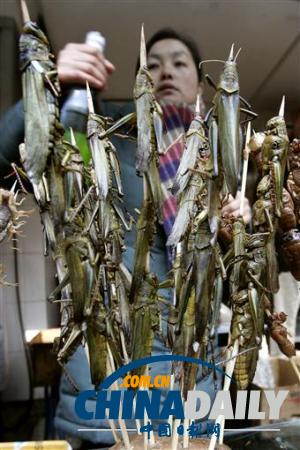 世界各地超級恐怖的蟲子大餐(組圖)