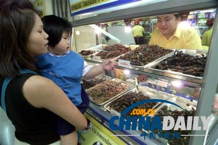 世界各地超級(jí)恐怖的蟲子大餐(組圖)