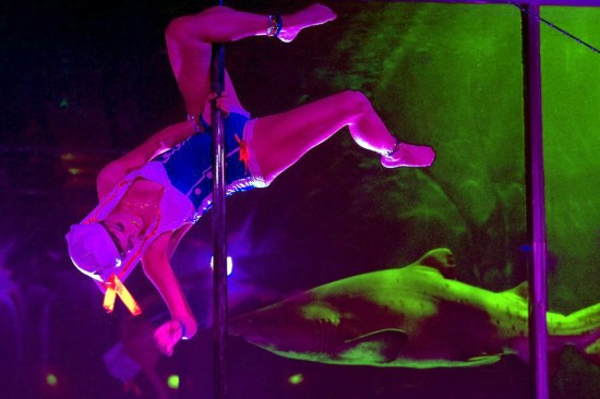 南非開普敦水族館里表演鋼管舞(圖)