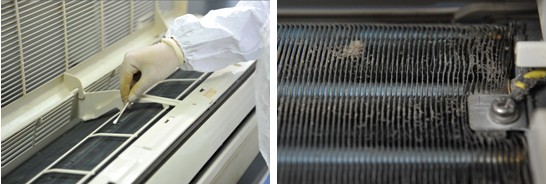 空調(diào)散熱片藏“毒”駭人 你真的會洗嗎？