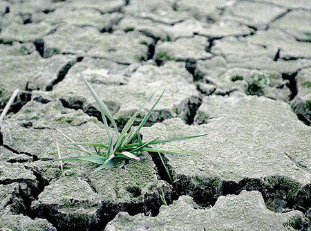 全球變暖災(zāi)難不斷 “溫暖”變恐怖