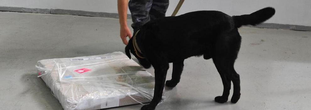 俄羅斯為APEC峰會(huì)構(gòu)建嚴(yán)密安保網(wǎng)