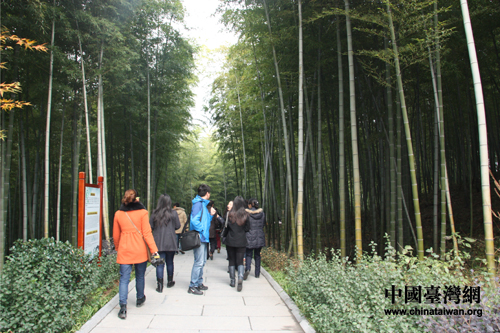 全國網(wǎng)媒走進常州溧陽 感受南山竹海竹之美（圖）