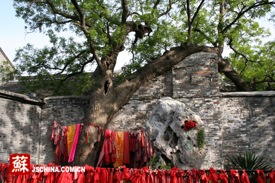 泰州溱潼 讓人陶醉的蘇北特色文化古鎮(zhèn)