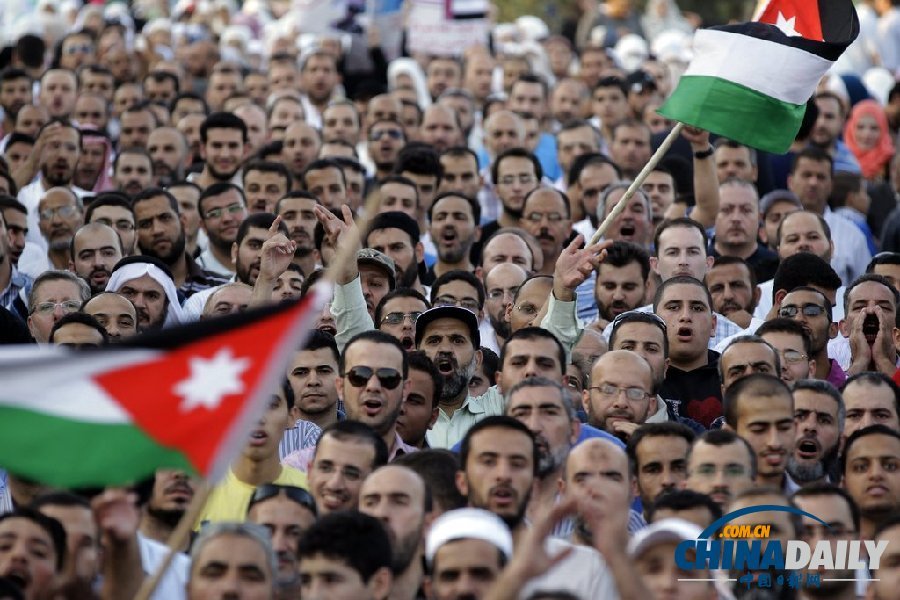 多國民眾集會(huì)聲援埃及被廢黜總統(tǒng)穆爾西 反對武力清場