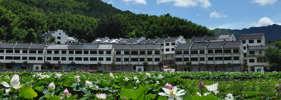 麗水蓮都區(qū)利山村