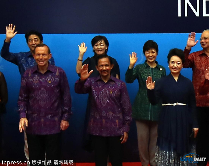 圖：APEC峰會全家福 彭麗媛優(yōu)雅亮相