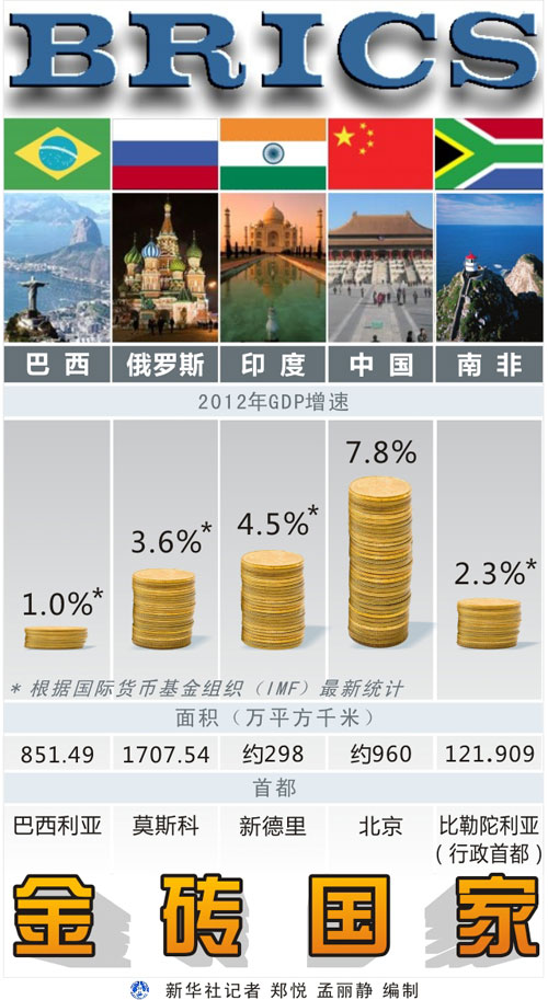 背景資料:金磚國家(圖表)