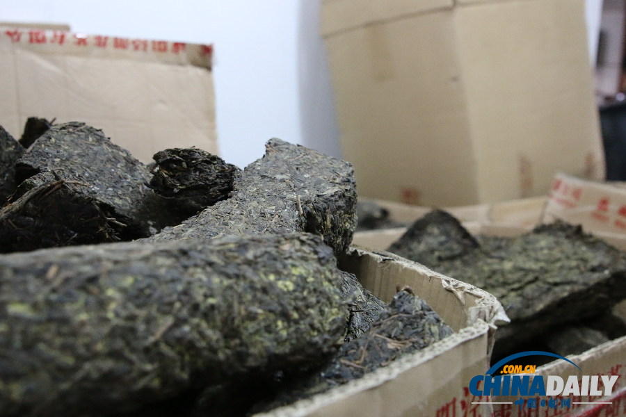 探絲綢之路神秘之茶 悟融匯古今絲路新發(fā)展