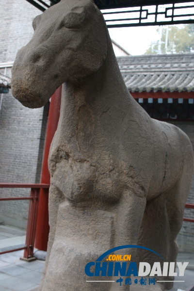 絲綢之路不朽見證：碑林博物館文物選評(píng)