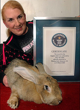 全球體積最大兔離奇去世 疑拍紀(jì)錄片怯場誘發(fā)心臟病