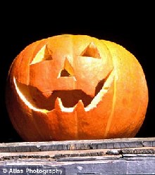 驚人的巧合?盤點(diǎn)谷歌地球中的“臉譜”景觀