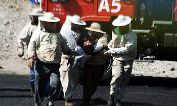 土耳其運蜂車出事故 成千上萬蜜蜂蜇人致一死數(shù)十傷