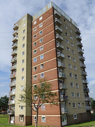 12層高樓摔落基本沒事 英國小貓被稱“幸運星”